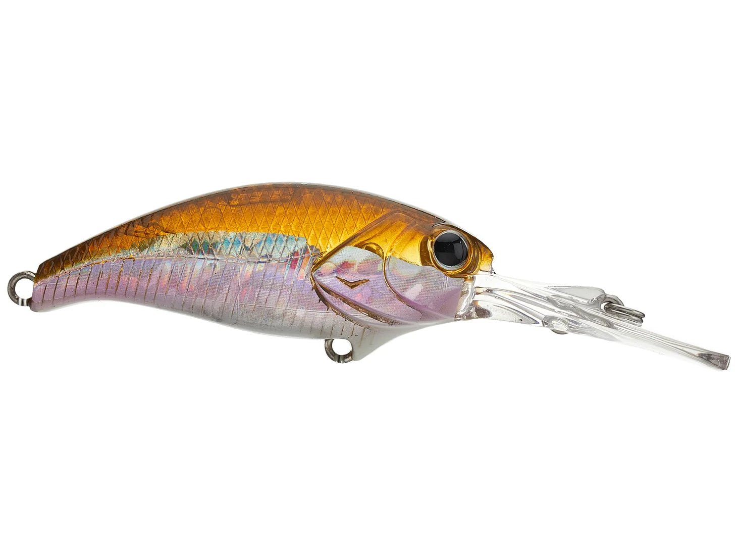 Nanga × Deps Evoke Shad & Slide Swimmer Deps Evoke Shad | Cold Water Crankbait with Long Casting & Precise