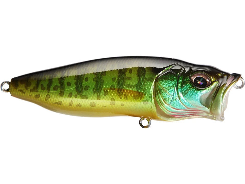 Megabass PopmaxJOOTTIPumpkin Seed