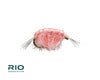 RIO Flies Scud (12 Pack)