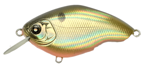 Nishine lure works Chippawa RB (Round Bill) - Basic ModelJOOTTIHologram shad