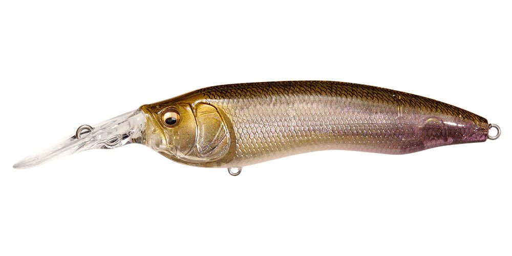 MEGABASS Live-X Model 1