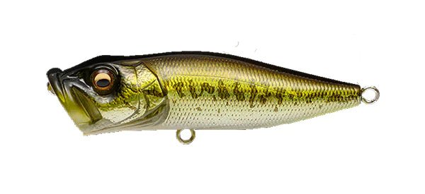 Megabass POP - XJOOTTIGG Bass