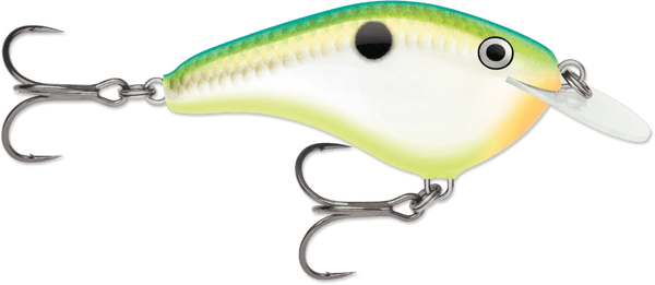 Rapala Ott's Garage OG Slim 6 CrankbaitJOOTTICitrus Shad