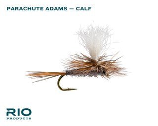 RIO FLIES BASIC TROUT ASSORTMENTJOOTTI