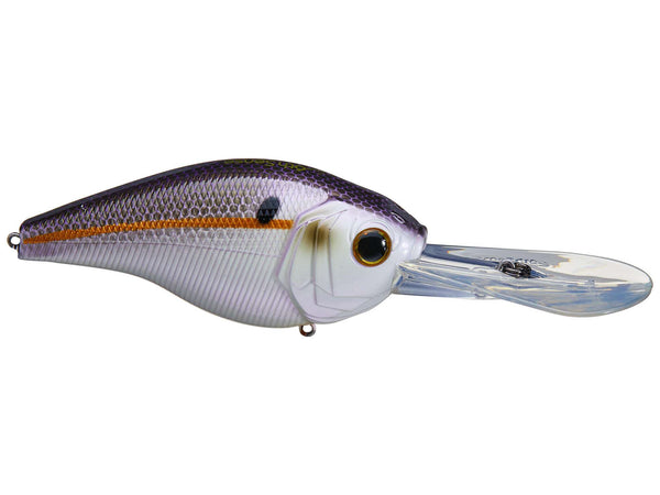 6th Sense Cloud 9 series C25 CrankbaitsJOOTTIGizzard Shad