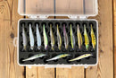Fishmore T3 Pro - Megabass - Vision ONETEN Jr +2JOOTTI