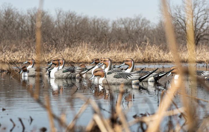 Rig'em right Mainline Series™ PintailJOOTTI