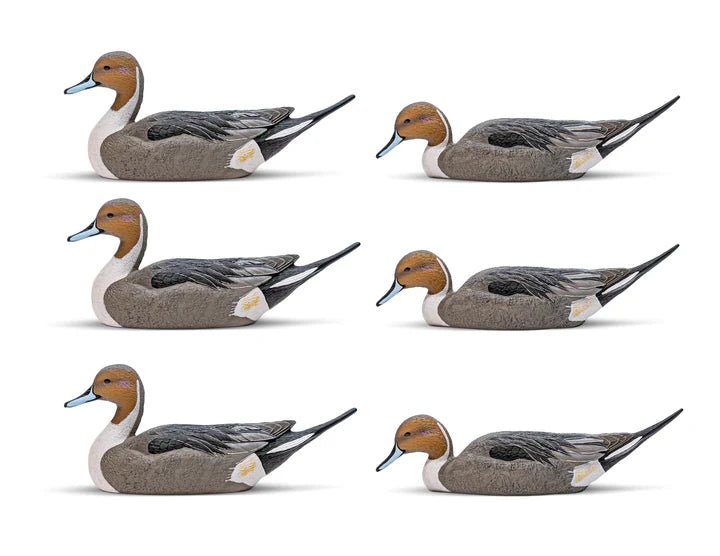 Rig'em right Mainline Series™ Pintail