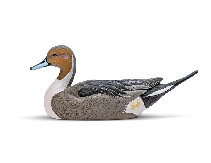 Rig'em right Mainline Series™ Pintail