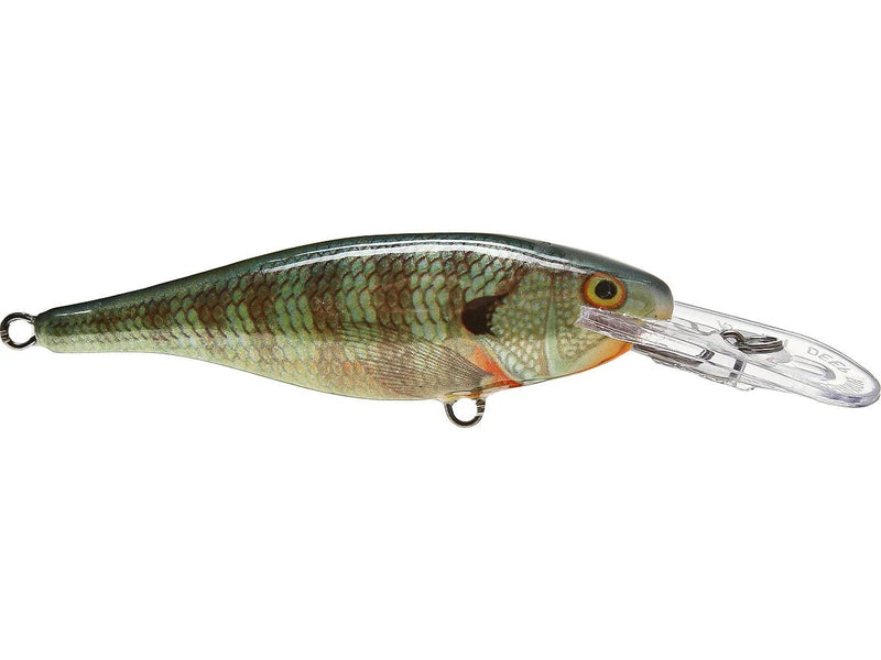 Rapala Shad Rap Balsa CrankbaitJOOTTISR07