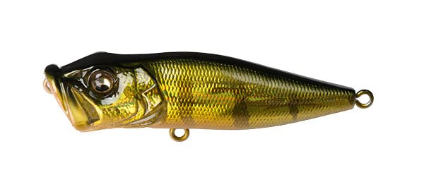 Megabass POP - XJOOTTIGG Perch