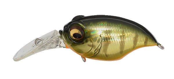 Megabass MR - X GriffonJOOTTIGG Kasumi Tiger