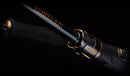 Daiwa Rebellion Casting Rods - JOOTTI