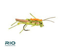 RIO Flies Juicy Hopper (12 Pack)JOOTTI6