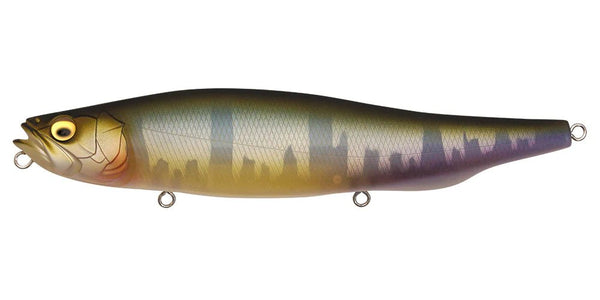 Megabass Megadog-X topwater lure displaying its innovative design and vibrant colors