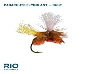 RIO Flies Terrestrial AssortmentJOOTTI