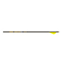 Gold Tip Hunter Pro Raptor Arrow 6 PackJOOTTI300