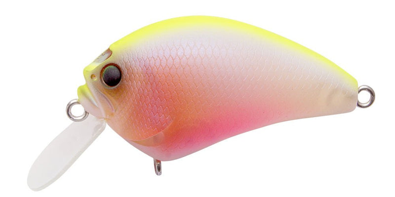 Megabass Respect Series 83 Baby KingyoJOOTTIIXI Blowly