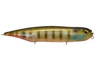 Megabass Dog-X Diamante (Rattle) showcasing its sleek profile and vibrant colors, designed for effective topwater presentations.