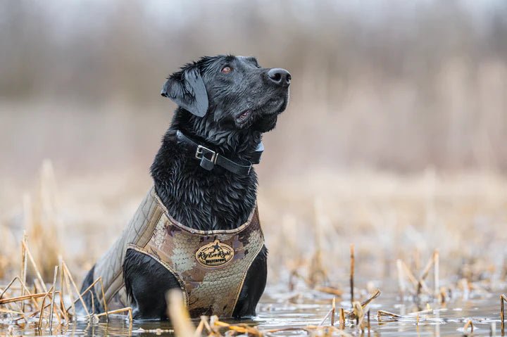 Rig'em Right Bloodline Elite Dog Vest- OPTIFADE® Timber - JOOTTI