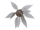 HIDEUP Coike Fish Gill M (Medium) creature bait, Ebi Dappi color