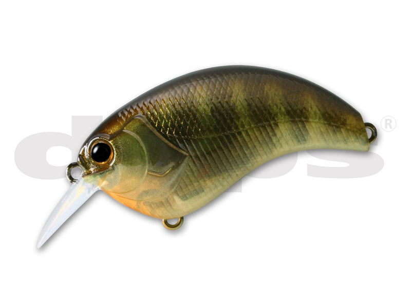 Deps Evoke 1.2JOOTTIPond Gill