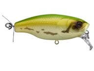 Deps Buzzjet Jr.JOOTTIFrog