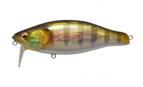 Megabass I - JACKJOOTTIGG GILL II