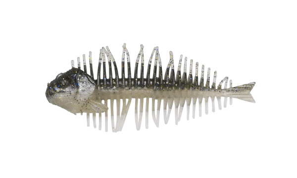 DStyle Geelacanth