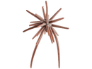 Hideup Coike Micro 5mm Creature Bait 3pkJOOTTI103 Green Pumpkin