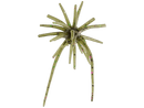 Hideup Coike Micro 5mm Creature Bait 3pkJOOTTI302 Green Pumpkin Candy (US)