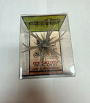 Skinny Bear Shake 'Em Up 19mm Urchin Bait