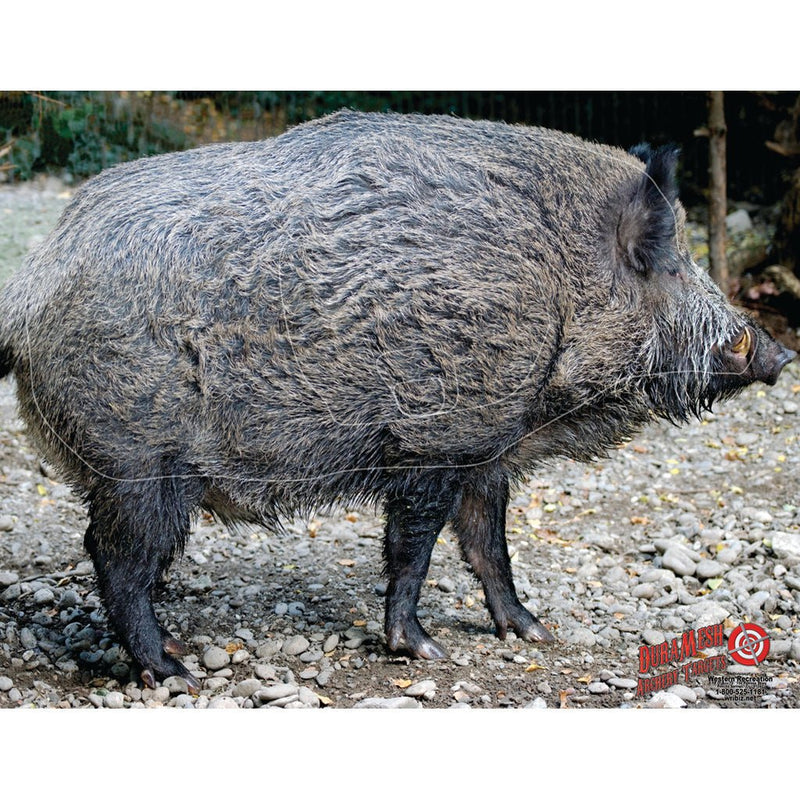 Duramesh Archery Target Wild Boar 25 In. X 32 In.JOOTTI