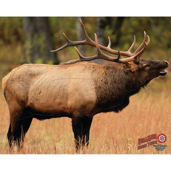 Duramesh Archery Target Elk 1 25 In. X 32 In.JOOTTI