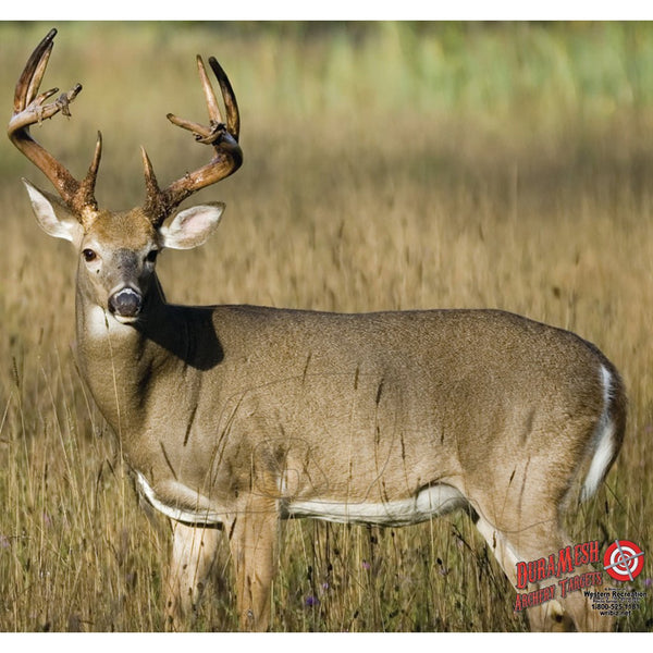 Duramesh Archery Target Whitetail 4 25 In. X 32 In.JOOTTI