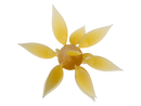 HIDEUP Coike Fish Gill L (Large) creature bait, Kuririn Kintoki color
