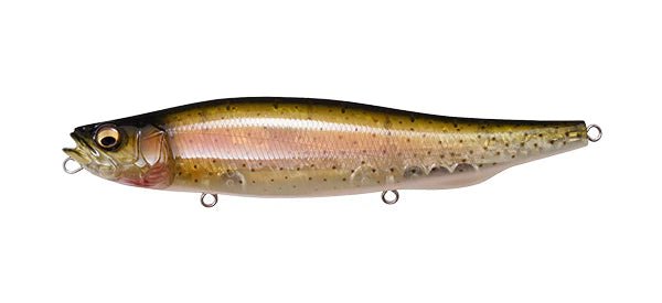 MegaBass MegadogJOOTTIStealth Rainbow