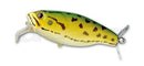 Deps BuzzjetJOOTTIPond Frog