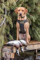 Rig'em Right Bloodline Elite Dog Vest- OPTIFADE® Timber - JOOTTI