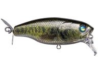 Deps Buzzjet Jr.JOOTTIReal Bass