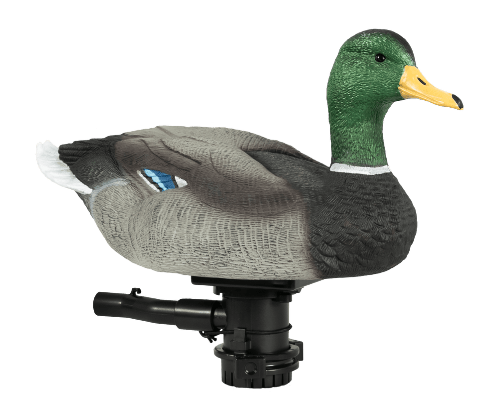 Lucky Duck HDi Super Swimmer 2.0
