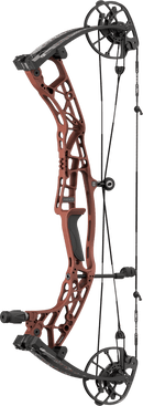Hoyt Alpha AX-3 29 compound bow in Georgia Clay Topo