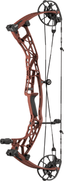 Hoyt Alpha AX-3 29 compound bow in Georgia Clay