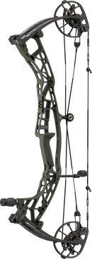 Hoyt Alpha AX-3 29 compound bow in Wilderness Topo