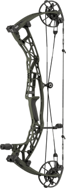 Hoyt Alpha AX-3 29 compound bow in Wilderness