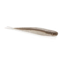 Berkley Lab Series Minnow — 5.25-inch Silver Shiner