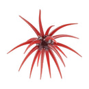 Berkley PowerBait MaxScent 'Moeba 4.5-inch — 4.5-inch Bloodshot