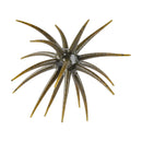 Berkley PowerBait MaxScent 'Moeba 4.5-inch — 4.5-inch Green Pumpkin