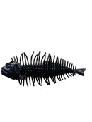 DStyle GeelacanthJOOTTI3"