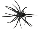 Hideup Kyu Coike Creature Bait 3pkJOOTTIBlack solid